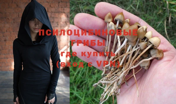 трава Абаза