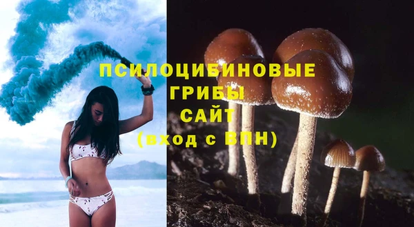 трава Абаза