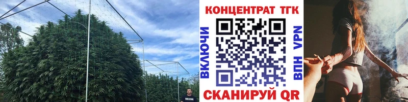 площадка состав  Холмск  ТГК Wax 